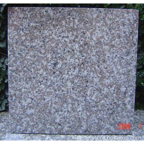 Granite Tiles/Granite Flooring (G664)